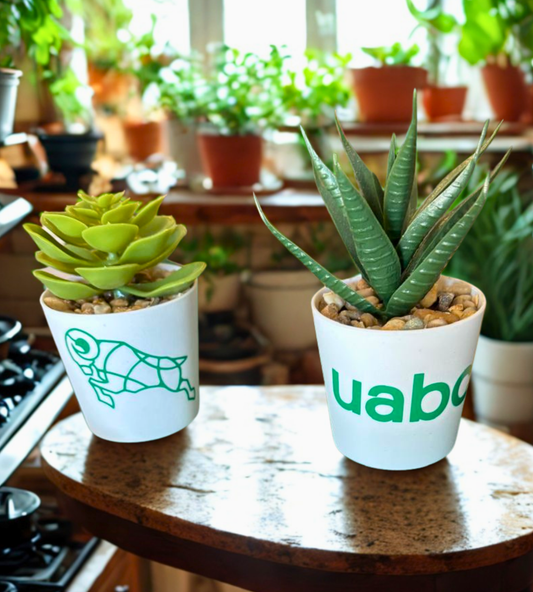 Set de Plantas Sintéticas