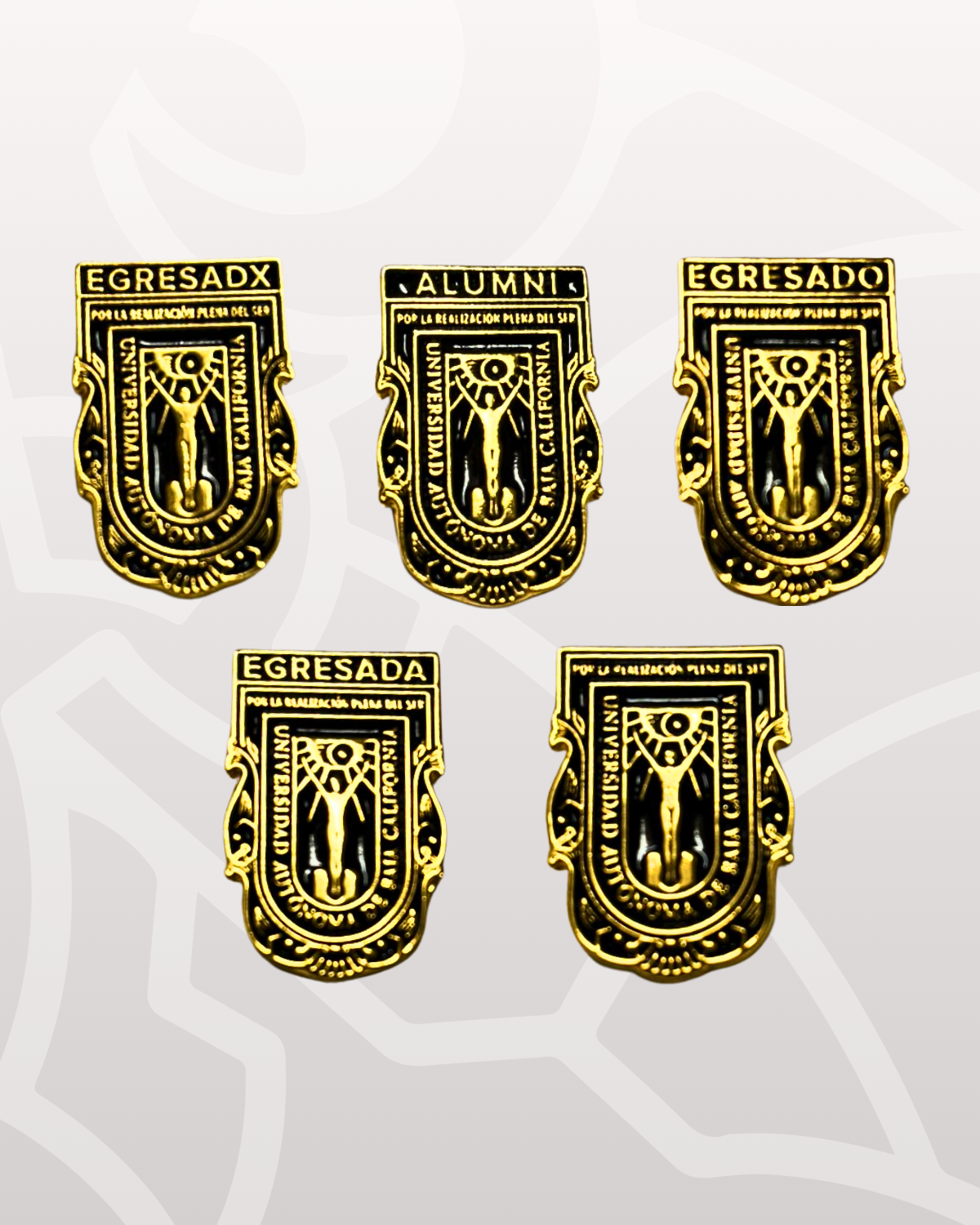 Pin de Metal Escudo