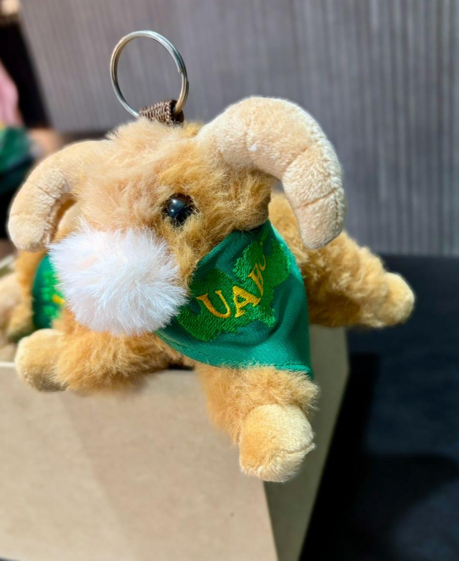 Llavero Peluche Cimarron