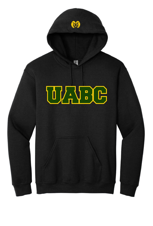 Hoodie Varsity Facultades